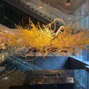 ヒメ日記 2026/03/01 22:04 投稿 西園(にしぞの) 人妻出逢い会 百合の園 山の手本店