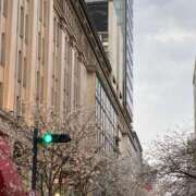 ヒメ日記 2026/03/30 06:17 投稿 西園(にしぞの) 人妻出逢い会 百合の園 山の手本店