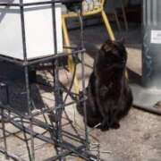 ヒメ日記 2026/03/03 06:00 投稿 野風 五反田痴女性感フェチ倶楽部