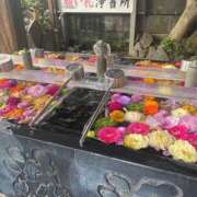 ヒメ日記 2025/11/01 12:52 投稿 かゆう 熟女の風俗最終章 新宿店