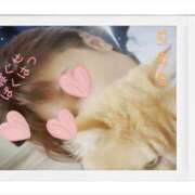 ヒメ日記 2025/09/23 08:46 投稿 くらら モアグループ宇都宮人妻花壇