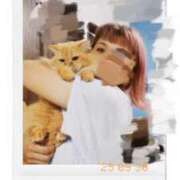 ヒメ日記 2025/09/30 23:18 投稿 くらら モアグループ宇都宮人妻花壇