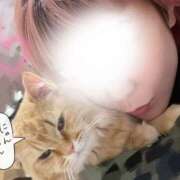 ヒメ日記 2026/02/09 23:16 投稿 くらら モアグループ宇都宮人妻花壇