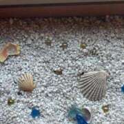 ヒメ日記 2025/10/17 12:31 投稿 るか 鹿児島ちゃんこ 天文館店