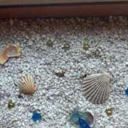 ヒメ日記 2025/10/17 12:51 投稿 るか 鹿児島ちゃんこ 天文館店