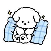 ヒメ日記 2025/11/13 02:45 投稿 るか 鹿児島ちゃんこ 天文館店