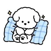 ヒメ日記 2025/11/13 02:51 投稿 るか 鹿児島ちゃんこ 天文館店