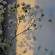 ヒメ日記 2025/11/17 05:30 投稿 るか 鹿児島ちゃんこ 天文館店