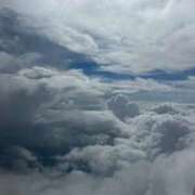 ヒメ日記 2025/09/04 08:48 投稿 はな マリン千姫