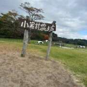 ヒメ日記 2025/11/09 23:32 投稿 はな マリン千姫