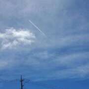 ヒメ日記 2025/09/19 07:16 投稿 せりな清楚系な美人妻 俺のジュニア