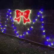 ヒメ日記 2025/12/15 23:11 投稿 せりな清楚系な美人妻 俺のジュニア