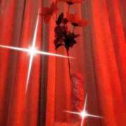 ヒメ日記 2025/12/22 03:56 投稿 せりな清楚系な美人妻 俺のジュニア