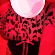 ヒメ日記 2025/12/29 21:43 投稿 せりな清楚系な美人妻 俺のジュニア