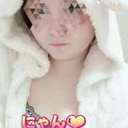 ヒメ日記 2026/01/12 04:00 投稿 せりな清楚系な美人妻 俺のジュニア