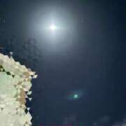 ヒメ日記 2026/01/29 00:03 投稿 せりな清楚系な美人妻 俺のジュニア