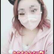 ヒメ日記 2026/02/02 01:27 投稿 せりな清楚系な美人妻 俺のジュニア