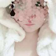 ヒメ日記 2026/02/07 13:31 投稿 せりな清楚系な美人妻 俺のジュニア