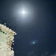 ヒメ日記 2026/02/19 00:06 投稿 せりな清楚系な美人妻 俺のジュニア