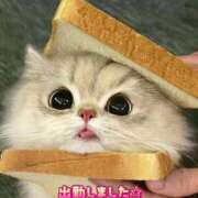 ヒメ日記 2026/04/13 22:26 投稿 せりな清楚系な美人妻 俺のジュニア