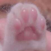 ヒメ日記 2026/04/19 03:06 投稿 せりな清楚系な美人妻 俺のジュニア