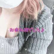 ヒメ日記 2026/05/25 03:36 投稿 せりな清楚系な美人妻 俺のジュニア