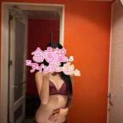 ヒメ日記 2025/09/15 00:00 投稿 にいな プリンセスセレクション姫路