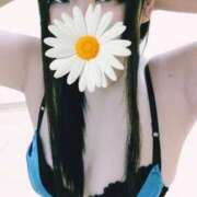 ヒメ日記 2025/08/30 15:08 投稿 らに ミセスサマンサ