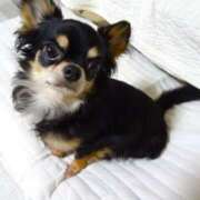 ヒメ日記 2026/01/11 19:58 投稿 今井リサ クラブダンディー