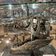 ヒメ日記 2026/02/21 17:58 投稿 ゆうな 大塚アテネ