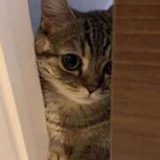 ヒメ日記 2025/09/16 13:27 投稿 すず レッドろまん枚方店