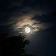 ヒメ日記 2025/10/08 07:42 投稿 すず レッドろまん枚方店