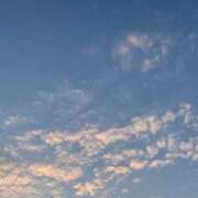 ヒメ日記 2025/10/10 12:08 投稿 すず レッドろまん枚方店