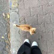 ヒメ日記 2025/10/14 20:02 投稿 すず レッドろまん枚方店