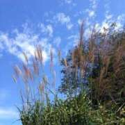 ヒメ日記 2025/10/16 08:26 投稿 すず レッドろまん枚方店