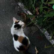 ヒメ日記 2025/10/17 12:08 投稿 すず レッドろまん枚方店