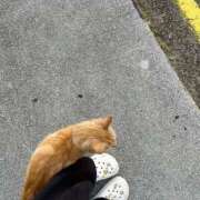 ヒメ日記 2025/10/24 08:34 投稿 すず レッドろまん枚方店