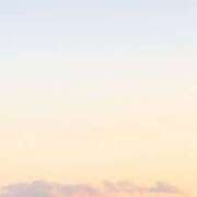 ヒメ日記 2025/10/24 09:00 投稿 すず レッドろまん枚方店