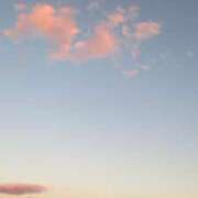 ヒメ日記 2025/10/29 07:54 投稿 すず レッドろまん枚方店