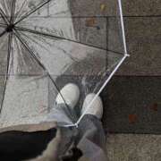 ヒメ日記 2025/10/31 08:09 投稿 すず レッドろまん枚方店