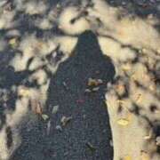 ヒメ日記 2025/11/03 09:04 投稿 すず レッドろまん枚方店