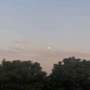 ヒメ日記 2025/11/17 23:46 投稿 すず レッドろまん枚方店