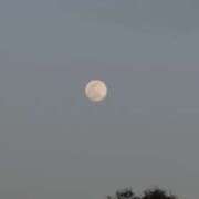 ヒメ日記 2025/12/06 08:25 投稿 すず レッドろまん枚方店