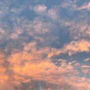 ヒメ日記 2026/01/24 09:06 投稿 すず レッドろまん枚方店