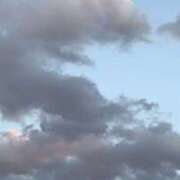 ヒメ日記 2026/02/01 20:44 投稿 すず レッドろまん枚方店