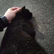 ヒメ日記 2025/10/10 18:34 投稿 まどか 大阪ぽっちゃりマニア 谷九店