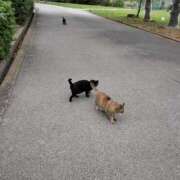 ヒメ日記 2025/10/28 22:41 投稿 まどか 大阪ぽっちゃりマニア 谷九店