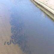 ヒメ日記 2026/02/21 10:16 投稿 まどか 大阪ぽっちゃりマニア 谷九店