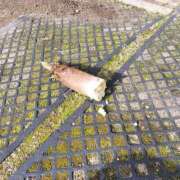 ヒメ日記 2026/04/21 21:33 投稿 まどか 大阪ぽっちゃりマニア 谷九店