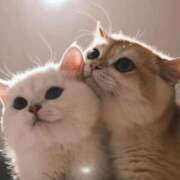 ヒメ日記 2025/08/27 19:02 投稿 澄玲(すみれ) グランドオペラ横浜